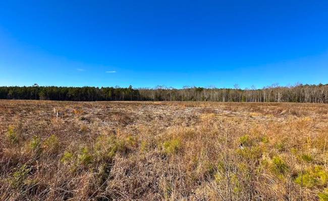 107 Acres Taylors Mill Road, Emporia, VA 23847