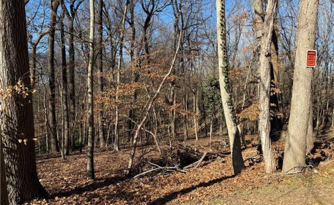 1920 Carter Street, Richmond City South James River, VA 23220