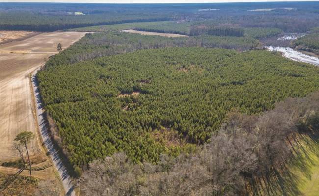 134ac Crumpler Road, Southampton County, VA 23866