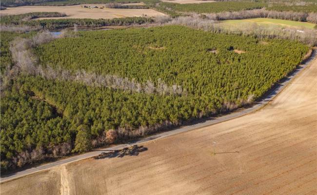 134ac Crumpler Road, Southampton County, VA 23866