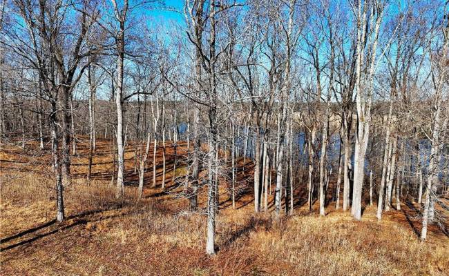 3.43AC Boxwood Shores Drive, Mecklenburg County, VA 23917