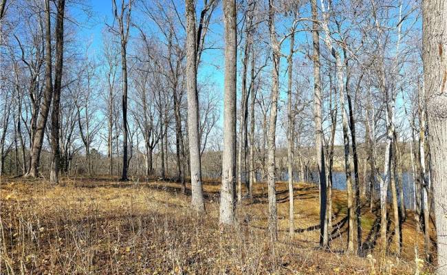 3.43AC Boxwood Shores Drive, Mecklenburg County, VA 23917