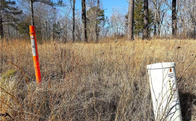 3.43AC Boxwood Shores Drive, Mecklenburg County, VA 23917