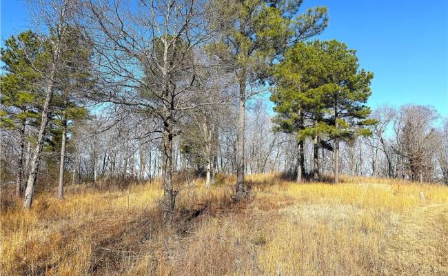 3.43AC Boxwood Shores Drive, Mecklenburg County, VA 23917