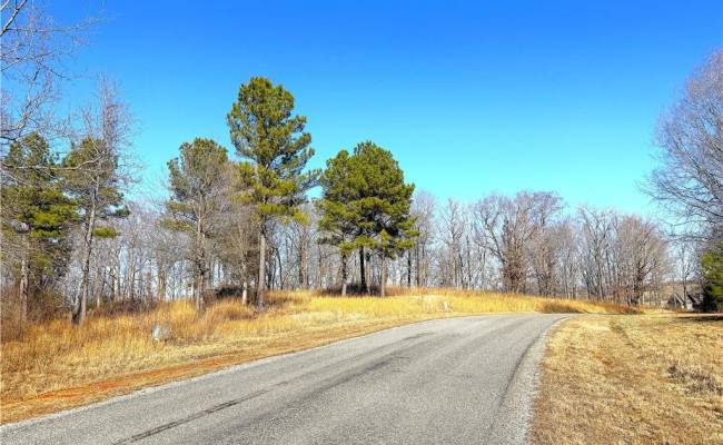 3.43AC Boxwood Shores Drive, Mecklenburg County, VA 23917