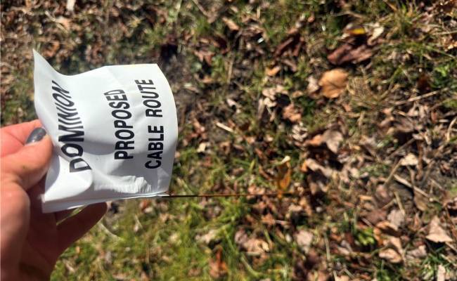 2.5 Ac Dismal Swamp Canal Trail, Chesapeake, VA 23322