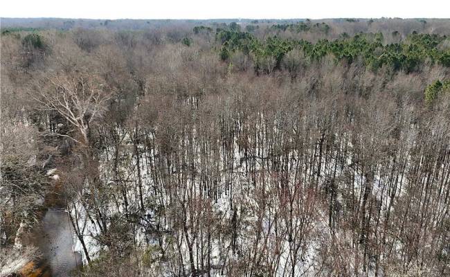 29Ac Moonlight Road, Greensville County, VA 23847