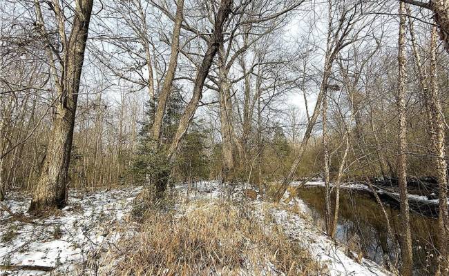 29Ac Moonlight Road, Greensville County, VA 23847