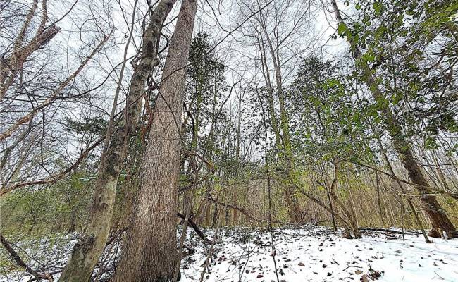 29Ac Moonlight Road, Greensville County, VA 23847