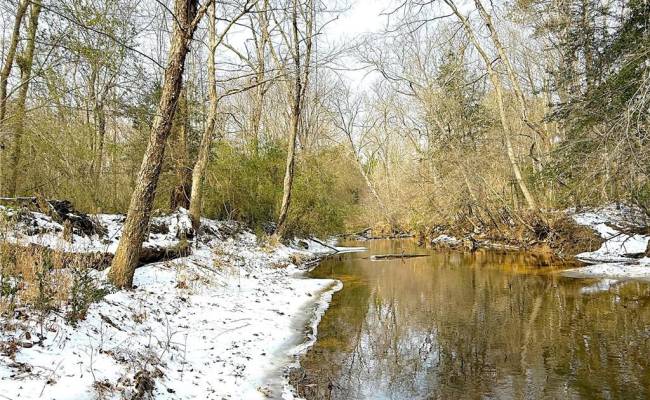 29Ac Moonlight Road, Greensville County, VA 23847