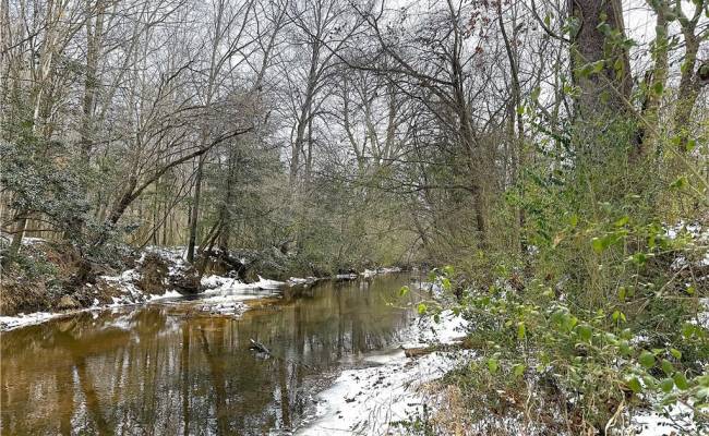 29Ac Moonlight Road, Greensville County, VA 23847