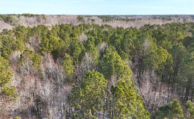 29Ac Moonlight Road, Greensville County, VA 23847