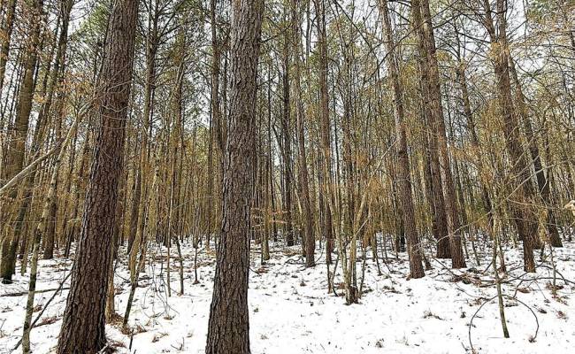 29Ac Moonlight Road, Greensville County, VA 23847