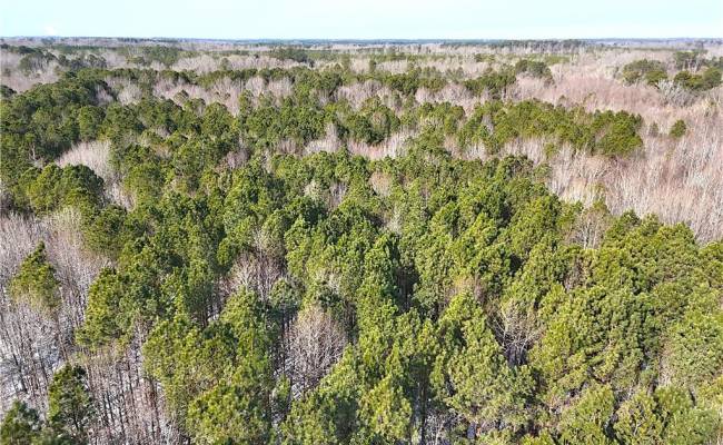 29Ac Moonlight Road, Greensville County, VA 23847