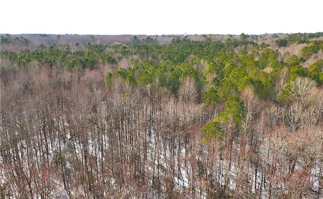 29Ac Moonlight Road, Greensville County, VA 23847