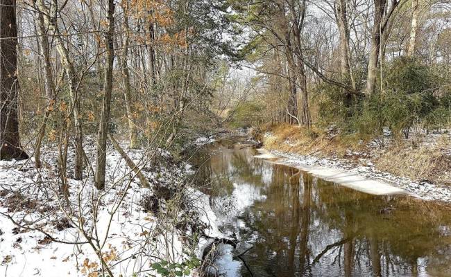 29Ac Moonlight Road, Greensville County, VA 23847