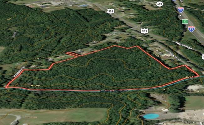 29Ac Moonlight Road, Greensville County, VA 23847
