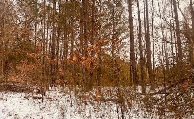 .26+AC Carsley Road, Surry County, VA 23890