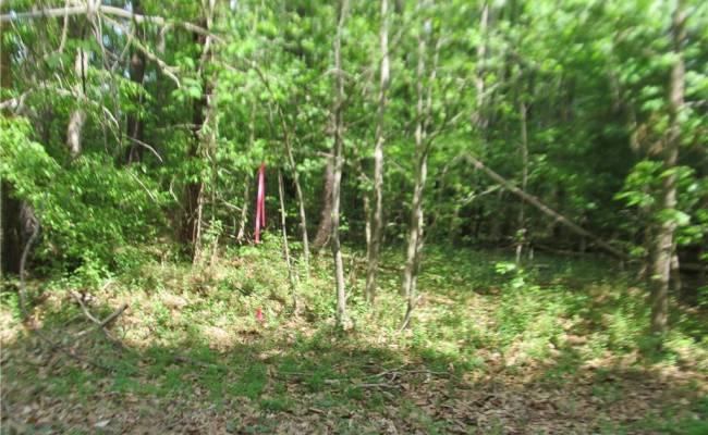 LOT 80 POPLAR SPRINGS Drive, Gloucester County, VA 23061