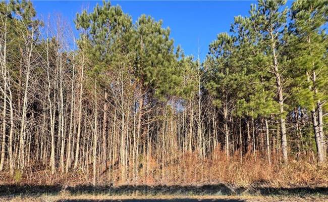 Lot 3 Carsley Road, Surry County, VA 23839