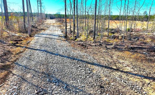 8.06ac Courthouse Road, Sussex County, VA 23890