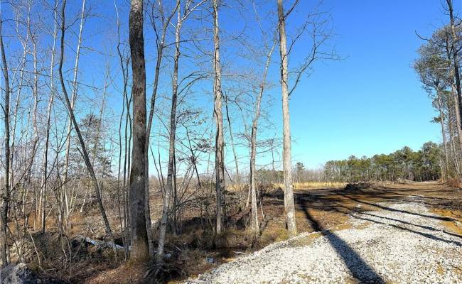 8.06ac Courthouse Road, Sussex County, VA 23890