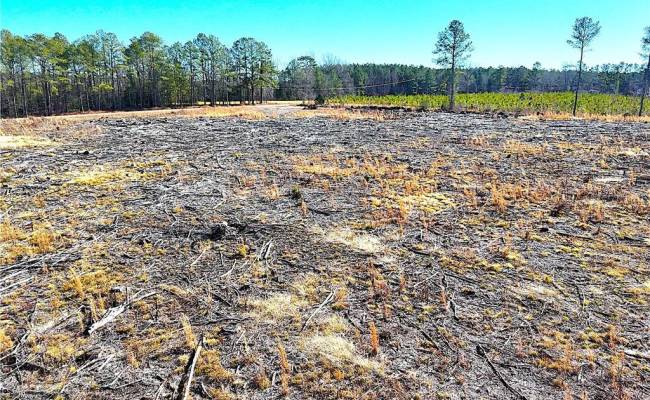 8.06ac Courthouse Road, Sussex County, VA 23890