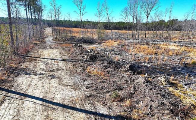 8.06ac Courthouse Road, Sussex County, VA 23890