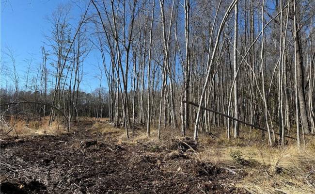 10.1ac Courthouse Road, Sussex County, VA 23890