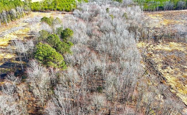 10.1ac Courthouse Road, Sussex County, VA 23890