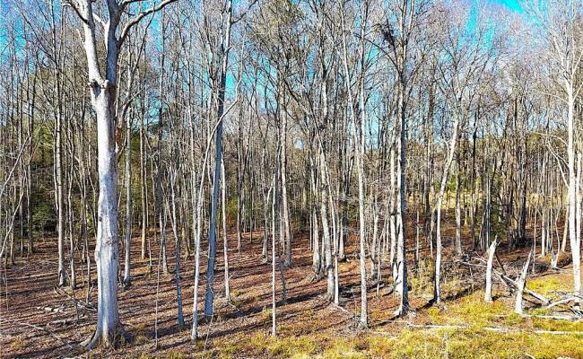 10.1ac Courthouse Road, Sussex County, VA 23890