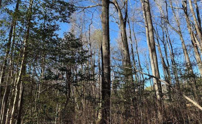 10.1ac Courthouse Road, Sussex County, VA 23890