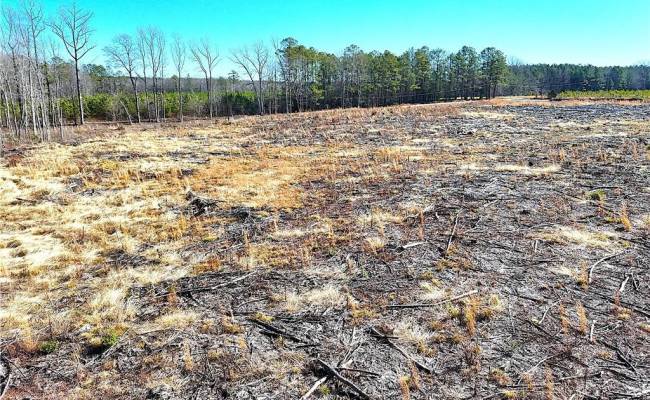 10.1ac Courthouse Road, Sussex County, VA 23890