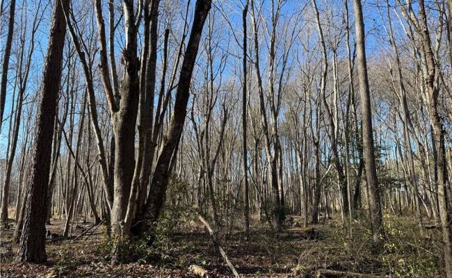 10.1ac Courthouse Road, Sussex County, VA 23890