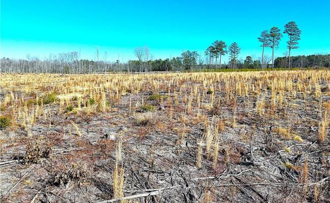 31.5ac Courthouse Road, Sussex County, VA 23890