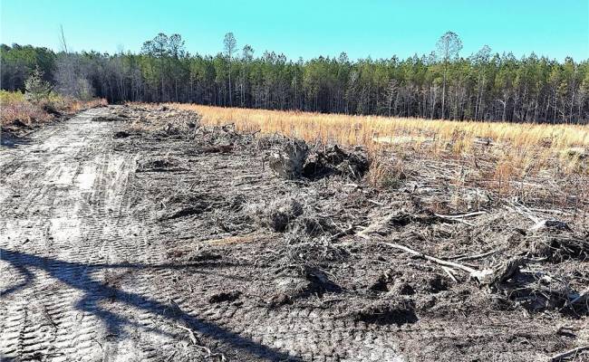 31.5ac Courthouse Road, Sussex County, VA 23890