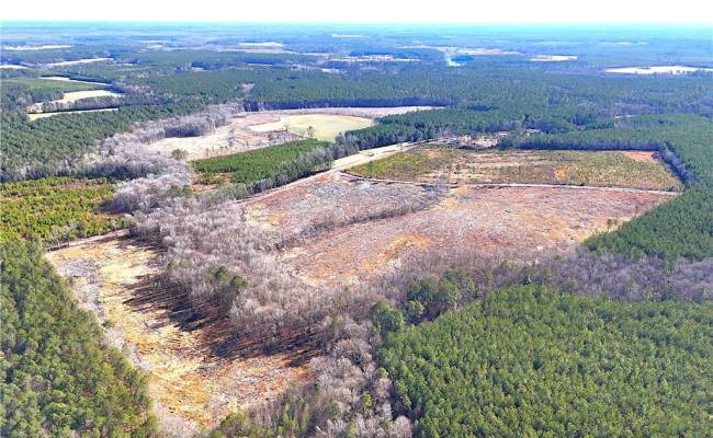 31.5ac Courthouse Road, Sussex County, VA 23890