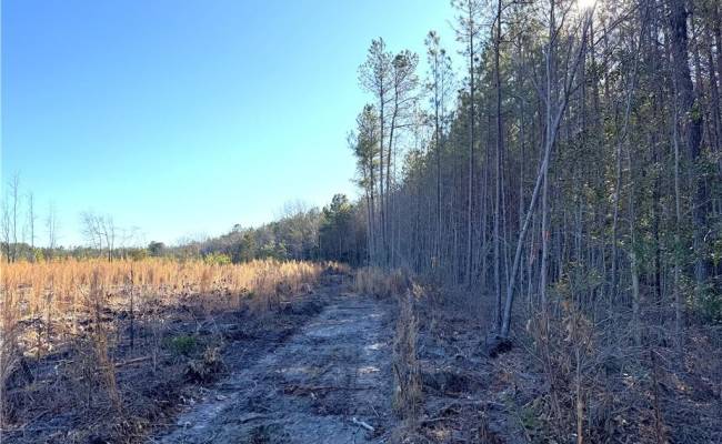 31.5ac Courthouse Road, Sussex County, VA 23890