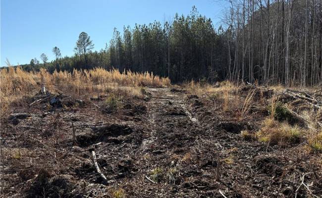 31.5ac Courthouse Road, Sussex County, VA 23890