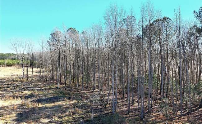 31.5ac Courthouse Road, Sussex County, VA 23890