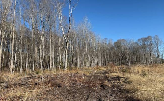 31.5ac Courthouse Road, Sussex County, VA 23890