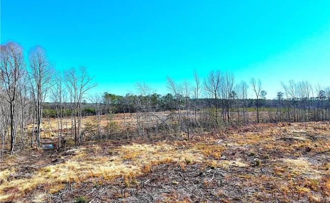 31.5ac Courthouse Road, Sussex County, VA 23890