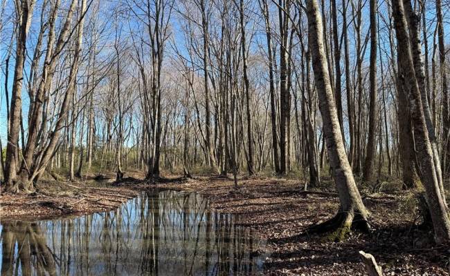 31.5ac Courthouse Road, Sussex County, VA 23890