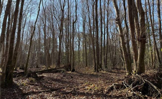 31.5ac Courthouse Road, Sussex County, VA 23890