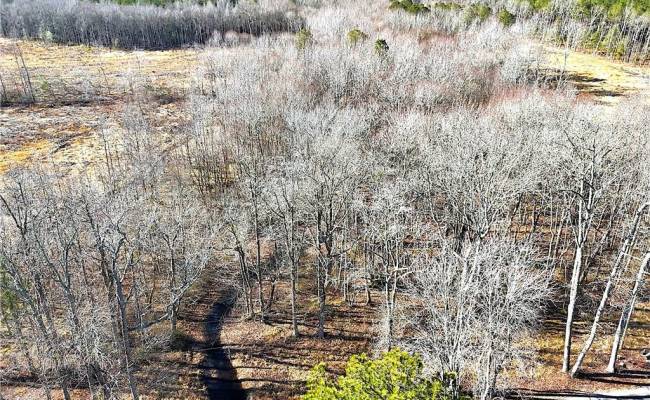 31.5ac Courthouse Road, Sussex County, VA 23890