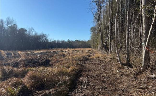 31.5ac Courthouse Road, Sussex County, VA 23890
