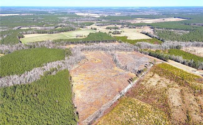 31.5ac Courthouse Road, Sussex County, VA 23890