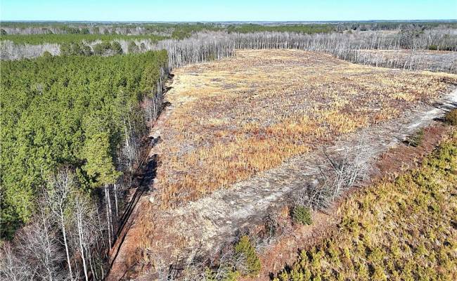 31.5ac Courthouse Road, Sussex County, VA 23890