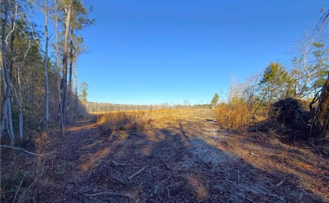 31.5ac Courthouse Road, Sussex County, VA 23890