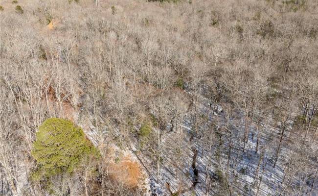 4881 Centerville Road, James City County, VA 23188